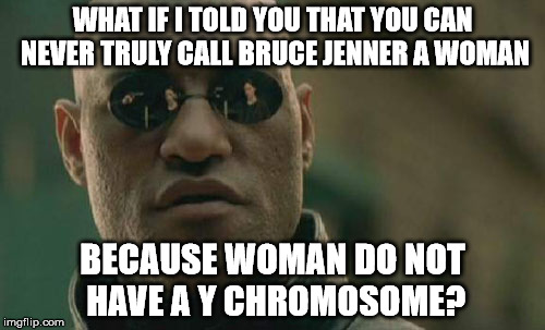 To all the people jumping on those who say otherwise... | WHAT IF I TOLD YOU THAT YOU CAN NEVER TRULY CALL BRUCE JENNER A WOMAN BECAUSE WOMAN DO NOT HAVE A Y CHROMOSOME? | image tagged in memes,matrix morpheus | made w/ Imgflip meme maker