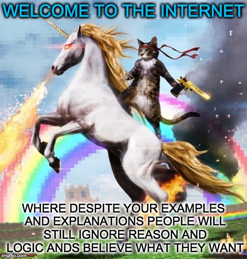 Welcome To The Internets Meme | WELCOME TO THE INTERNET WHERE DESPITE YOUR EXAMPLES AND EXPLANATIONS PEOPLE WILL STILL IGNORE REASON AND LOGIC ANDS BELIEVE WHAT THEY WANT | image tagged in memes,welcome to the internets | made w/ Imgflip meme maker