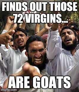 angry muslim | FINDS OUT THOSE 72 VIRGINS... ARE GOATS | image tagged in angry muslim | made w/ Imgflip meme maker