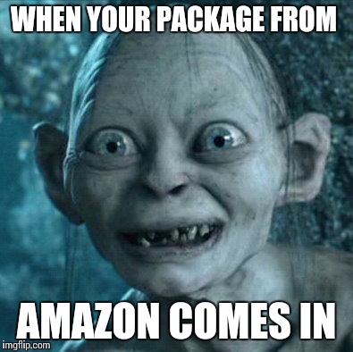 Gollum Meme | WHEN YOUR PACKAGE FROM AMAZON COMES IN | image tagged in memes,gollum | made w/ Imgflip meme maker