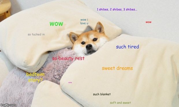 Doge sleep | image tagged in memes,doge | made w/ Imgflip meme maker