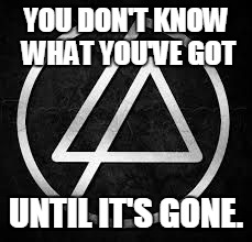 Until it's gone | YOU DON'T KNOW WHAT YOU'VE GOT UNTIL IT'S GONE. | image tagged in linkin park | made w/ Imgflip meme maker