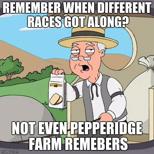 Pepperidge Farm Remembers | REMEMBER WHEN DIFFERENT RACES GOT ALONG? NOT EVEN PEPPERIDGE FARM REMEBERS | image tagged in memes,pepperidge farm remembers | made w/ Imgflip meme maker