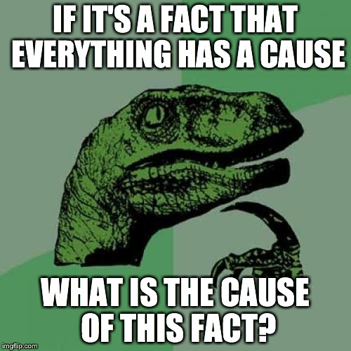 Philosoraptor | IF IT'S A FACT THAT EVERYTHING HAS A CAUSE WHAT IS THE CAUSE OF THIS FACT? | image tagged in memes,philosoraptor | made w/ Imgflip meme maker