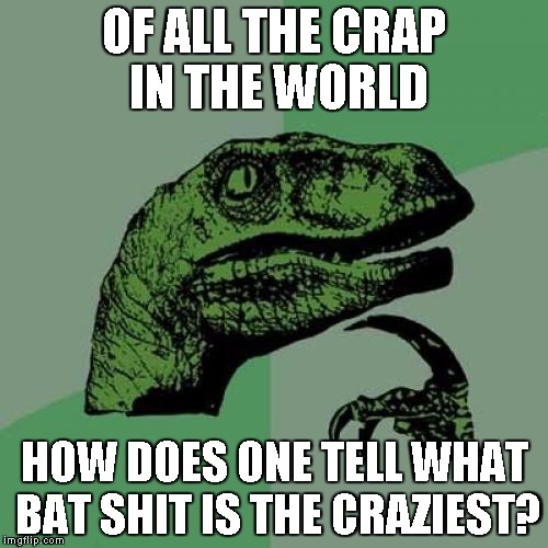 Philosoraptor | OF ALL THE CRAP IN THE WORLD HOW DOES ONE TELL WHAT BAT SHIT IS THE CRAZIEST? | image tagged in memes,philosoraptor | made w/ Imgflip meme maker