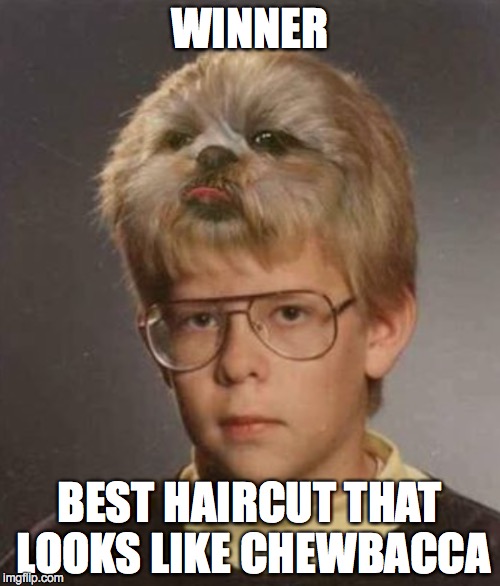 WINNER BEST HAIRCUT THAT LOOKS LIKE CHEWBACCA | made w/ Imgflip meme maker