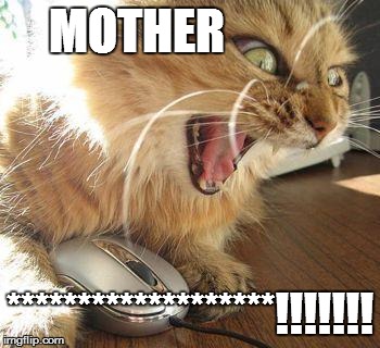 angry cat | MOTHER *******************!!!!!!! | image tagged in angry cat | made w/ Imgflip meme maker