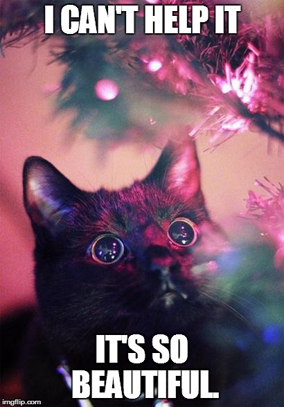 Christmas Cat | I CAN'T HELP IT IT'S SO BEAUTIFUL. | image tagged in christmas cat | made w/ Imgflip meme maker