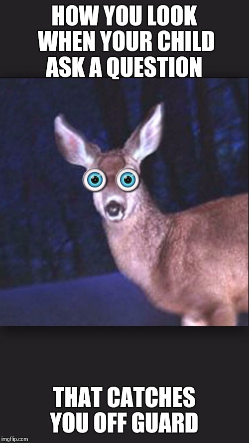 deer in headlights | HOW YOU LOOK WHEN YOUR CHILD ASK A QUESTION THAT CATCHES YOU OFF GUARD | image tagged in deer in headlights | made w/ Imgflip meme maker