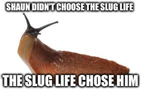 slug life | SHAUN DIDN'T CHOOSE THE SLUG LIFE THE SLUG LIFE CHOSE HIM | image tagged in slug life | made w/ Imgflip meme maker
