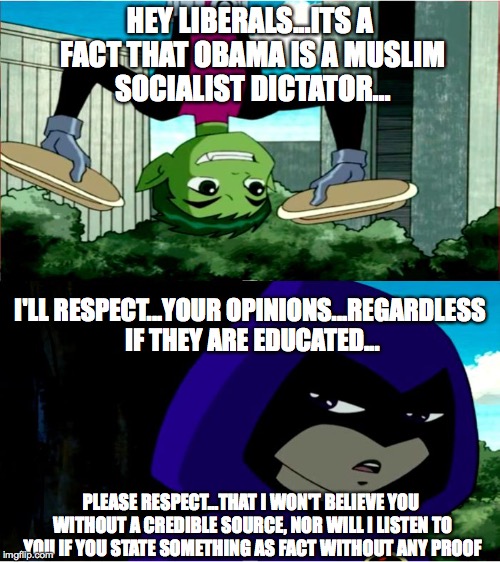 I Respect x, Please Respect y | HEY LIBERALS...ITS A FACT THAT OBAMA IS A MUSLIM SOCIALIST DICTATOR... I'LL RESPECT...YOUR OPINIONS...REGARDLESS IF THEY ARE EDUCATED... PLE | image tagged in i respect x please respect y | made w/ Imgflip meme maker