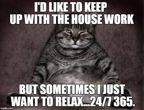 House Work  | I'D LIKE TO KEEP UP WITH THE HOUSE WORK BUT SOMETIMES I JUST WANT TO RELAX...24/7 365. | image tagged in lazy cat,housework,lazy,tired,relaxing,cat | made w/ Imgflip meme maker