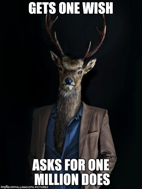 Does As in Female Deers | GETS ONE WISH ASKS FOR ONE MILLION DOES | image tagged in memes,good luck buck,wish,does female deer | made w/ Imgflip meme maker