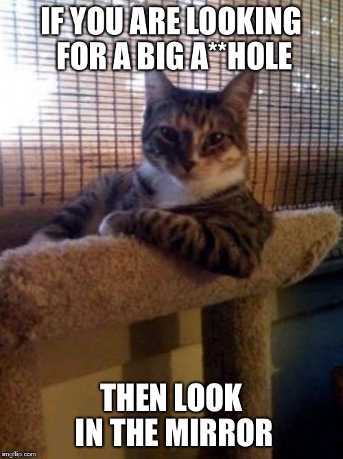 interesting cat | IF YOU ARE LOOKING FOR A BIG A**HOLE THEN LOOK IN THE MIRROR | image tagged in interesting cat | made w/ Imgflip meme maker