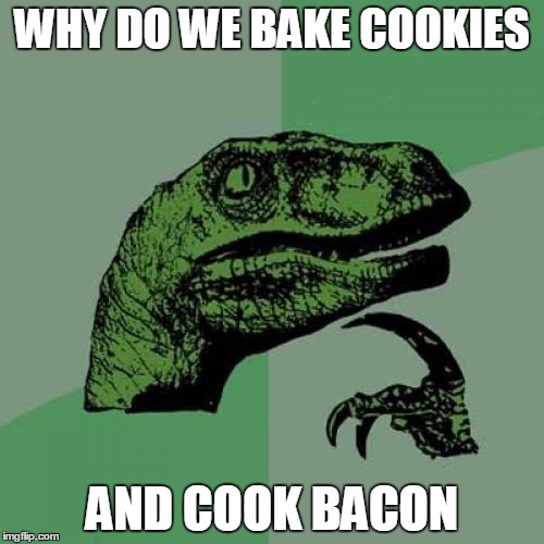 Philosoraptor | WHY DO WE BAKE COOKIES AND COOK BACON | image tagged in memes,philosoraptor | made w/ Imgflip meme maker