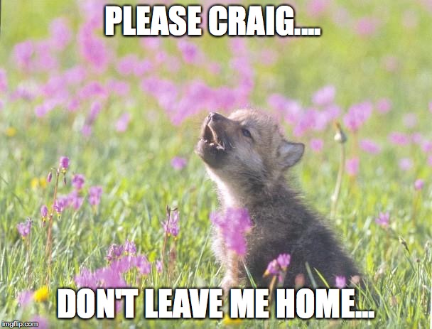 Baby Insanity Wolf Meme | PLEASE CRAIG.... DON'T LEAVE ME HOME... | image tagged in memes,baby insanity wolf | made w/ Imgflip meme maker
