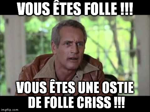 VOUS ÊTES FOLLE !!! VOUS ÊTES UNE OSTIE DE FOLLE CRISS !!! | image tagged in criss de folle | made w/ Imgflip meme maker