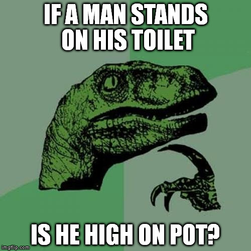 Philosoraptor | IF A MAN STANDS ON HIS TOILET IS HE HIGH ON POT? | image tagged in memes,philosoraptor | made w/ Imgflip meme maker