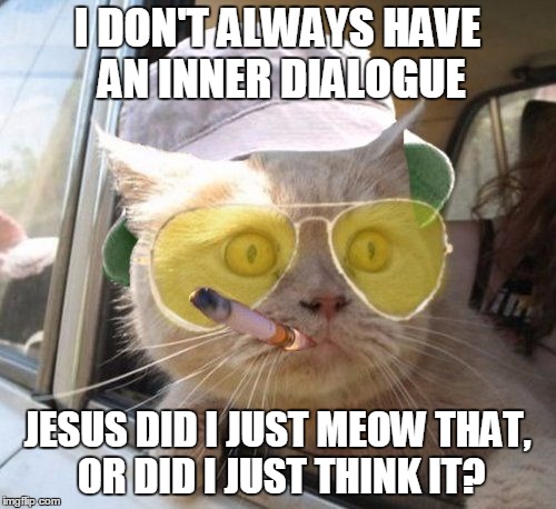 fear and loathing kitty | I DON'T ALWAYS HAVE AN INNER DIALOGUE JESUS DID I JUST MEOW THAT, OR DID I JUST THINK IT? | image tagged in fear and loathing kitty | made w/ Imgflip meme maker