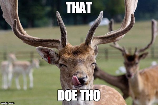 deer thug life | THAT DOE THO | image tagged in deer thug life | made w/ Imgflip meme maker