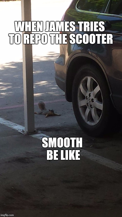 Codependency Squirrel  | WHEN JAMES TRIES TO REPO THE SCOOTER SMOOTH BE LIKE | image tagged in squirrel | made w/ Imgflip meme maker