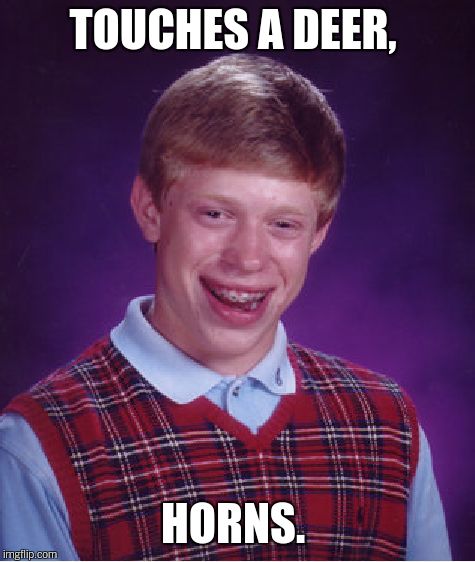 Bad Luck Brian Meme | TOUCHES A DEER, HORNS. | image tagged in memes,bad luck brian | made w/ Imgflip meme maker