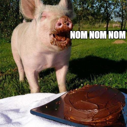 NOM NOM NOM | NOM NOM NOM | image tagged in funny | made w/ Imgflip meme maker