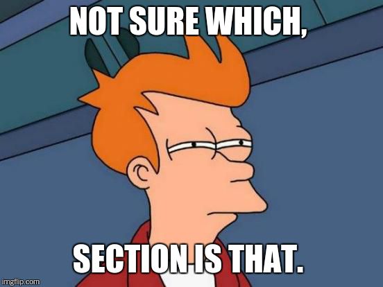 Futurama Fry Meme | NOT SURE WHICH, SECTION IS THAT. | image tagged in memes,futurama fry | made w/ Imgflip meme maker