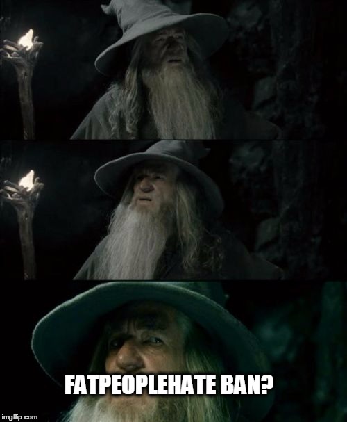 Confused Gandalf Meme | FATPEOPLEHATE BAN? | image tagged in memes,confused gandalf | made w/ Imgflip meme maker