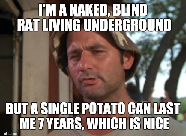 So I Got That Goin For Me Which Is Nice | I'M A NAKED, BLIND RAT LIVING UNDERGROUND BUT A SINGLE POTATO CAN LAST ME 7 YEARS, WHICH IS NICE | image tagged in memes,so i got that goin for me which is nice | made w/ Imgflip meme maker