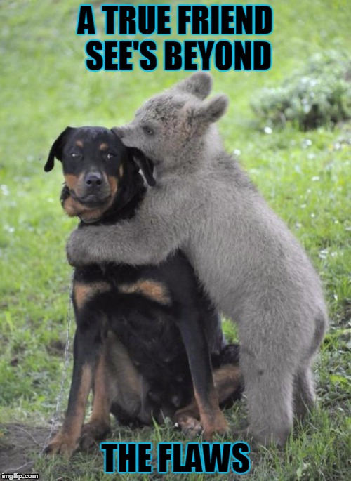 friendship  | A TRUE FRIEND SEE'S BEYOND THE FLAWS | image tagged in friendship | made w/ Imgflip meme maker
