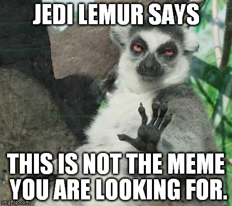 Stoner Lemur | JEDI LEMUR SAYS THIS IS NOT THE MEME YOU ARE LOOKING FOR. | image tagged in memes,stoner lemur | made w/ Imgflip meme maker