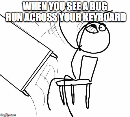 Table Flip Guy | WHEN YOU SEE A BUG RUN ACROSS YOUR KEYBOARD | image tagged in memes,table flip guy | made w/ Imgflip meme maker