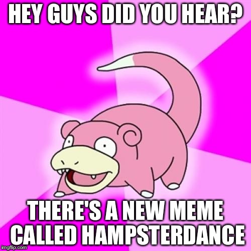 Slowpoke Meme | HEY GUYS DID YOU HEAR? THERE'S A NEW MEME CALLED HAMPSTERDANCE | image tagged in memes,slowpoke | made w/ Imgflip meme maker