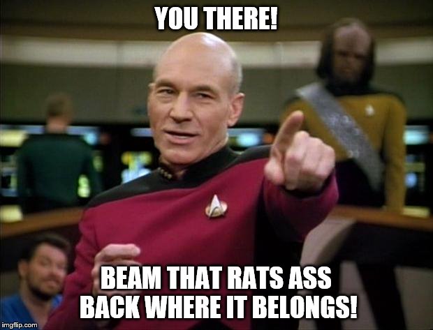 Picard | YOU THERE! BEAM THAT RATS ASS BACK WHERE IT BELONGS! | image tagged in picard | made w/ Imgflip meme maker