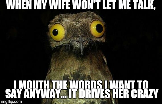 Weird Stuff I Do Potoo Meme | WHEN MY WIFE WON'T LET ME TALK, I MOUTH THE WORDS I WANT TO SAY ANYWAY... IT DRIVES HER CRAZY | image tagged in memes,weird stuff i do potoo | made w/ Imgflip meme maker