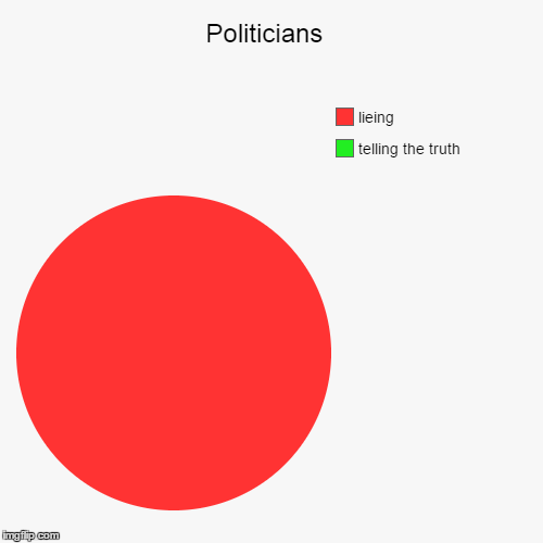 This is why I don't join congress | image tagged in funny,pie charts,politics | made w/ Imgflip chart maker