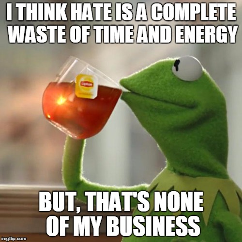 But That's None Of My Business | I THINK HATE IS A COMPLETE WASTE OF TIME AND ENERGY BUT, THAT'S NONE OF MY BUSINESS | image tagged in memes,but thats none of my business,kermit the frog | made w/ Imgflip meme maker