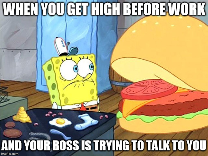 sponge bob talking to krabby patty | WHEN YOU GET HIGH BEFORE WORK AND YOUR BOSS IS TRYING TO TALK TO YOU | image tagged in sponge bob talking to krabby patty | made w/ Imgflip meme maker