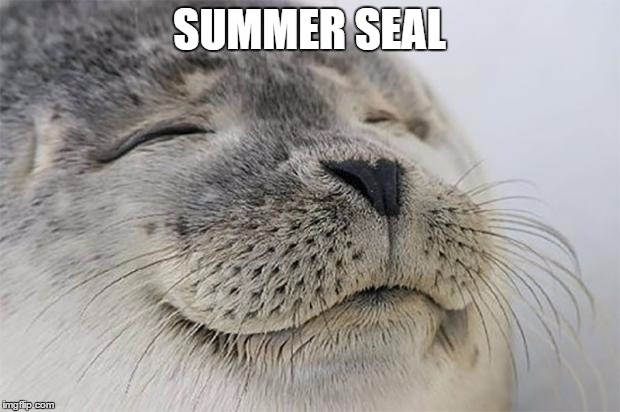 Satisfied Seal Meme | SUMMER SEAL | image tagged in memes,satisfied seal | made w/ Imgflip meme maker