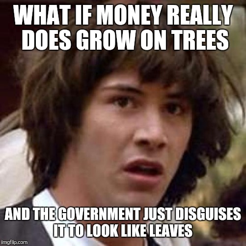 Conspiracy Keanu | WHAT IF MONEY REALLY DOES GROW ON TREES AND THE GOVERNMENT JUST DISGUISES IT TO LOOK LIKE LEAVES | image tagged in memes,conspiracy keanu | made w/ Imgflip meme maker