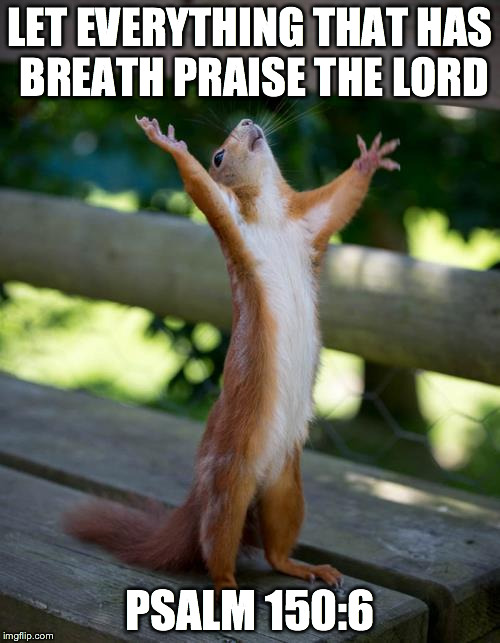 amen squirrel | LET EVERYTHING THAT HAS BREATH PRAISE THE LORD PSALM 150:6 | image tagged in amen squirrel | made w/ Imgflip meme maker