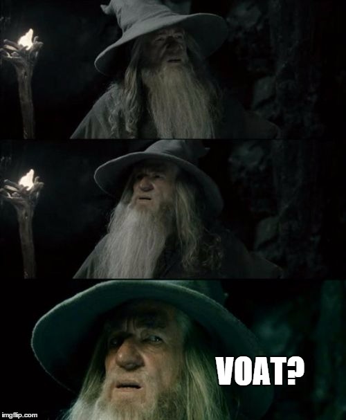 Confused Gandalf Meme | VOAT? | image tagged in memes,confused gandalf,AdviceAnimals | made w/ Imgflip meme maker
