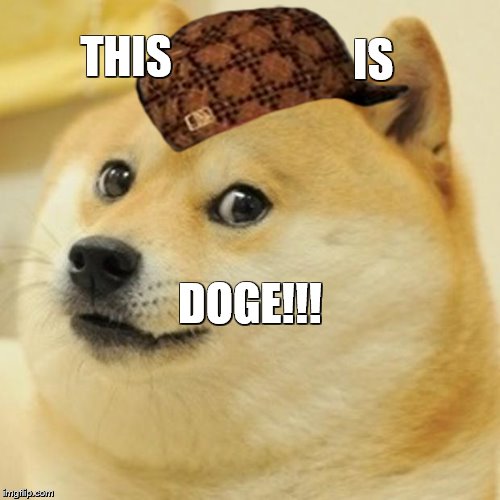 Doge | THIS IS DOGE!!! | image tagged in memes,doge,scumbag | made w/ Imgflip meme maker