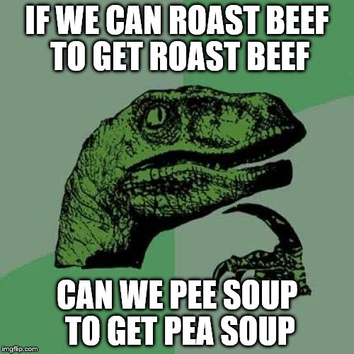 Philosoraptor Meme | IF WE CAN ROAST BEEF TO GET ROAST BEEF CAN WE PEE SOUP TO GET PEA SOUP | image tagged in memes,philosoraptor | made w/ Imgflip meme maker