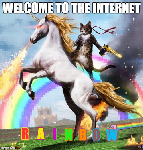 Welcome To The Internets Meme | WELCOME TO THE INTERNET R A I N B O W | image tagged in memes,welcome to the internets | made w/ Imgflip meme maker