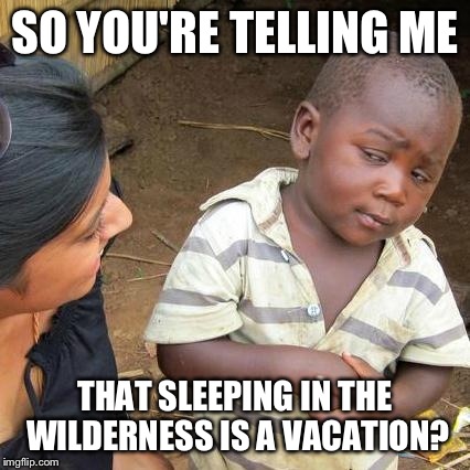 Third World Skeptical Kid Meme | SO YOU'RE TELLING ME THAT SLEEPING IN THE WILDERNESS IS A VACATION? | image tagged in memes,third world skeptical kid | made w/ Imgflip meme maker