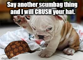 Just Try It | Say another scumbag thing and I will CRUSH your hat. | image tagged in question puppy,scumbag | made w/ Imgflip meme maker