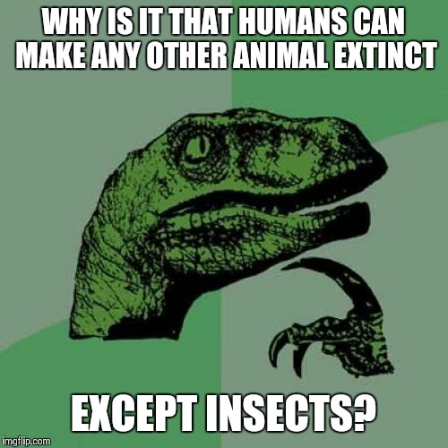 Philosoraptor Meme | WHY IS IT THAT HUMANS CAN MAKE ANY OTHER ANIMAL EXTINCT EXCEPT INSECTS? | image tagged in memes,philosoraptor | made w/ Imgflip meme maker