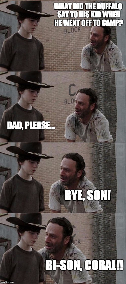 Rick and Carl Long | WHAT DID THE BUFFALO SAY TO HIS KID WHEN HE WENT OFF TO CAMP? DAD, PLEASE... BYE, SON! BI-SON, CORAL!! | image tagged in memes,rick and carl long | made w/ Imgflip meme maker